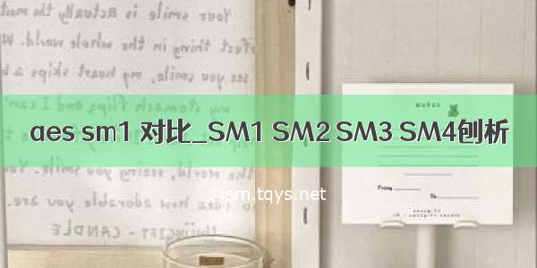 aes sm1 对比_SM1 SM2 SM3 SM4刨析