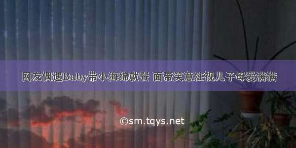 网友偶遇Baby带小海绵就餐 面带笑意注视儿子母爱满满