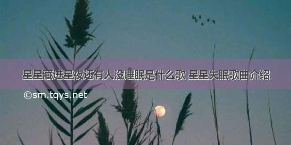 星星藏进星夜还有人没睡眠是什么歌 星星失眠歌曲介绍