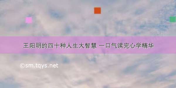 王阳明的四十种人生大智慧 一口气读完心学精华