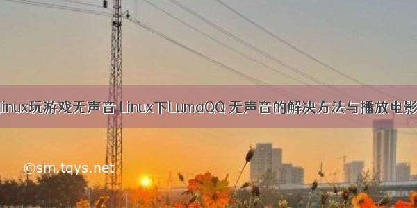 linux玩游戏无声音 Linux下LumaQQ 无声音的解决方法与播放电影