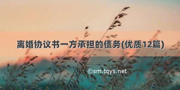 离婚协议书一方承担的债务(优质12篇)