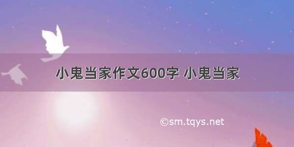 小鬼当家作文600字 小鬼当家