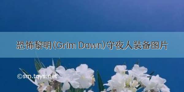 恐怖黎明(Grim Dawn)守夜人装备图片