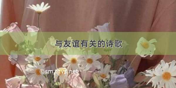 与友谊有关的诗歌