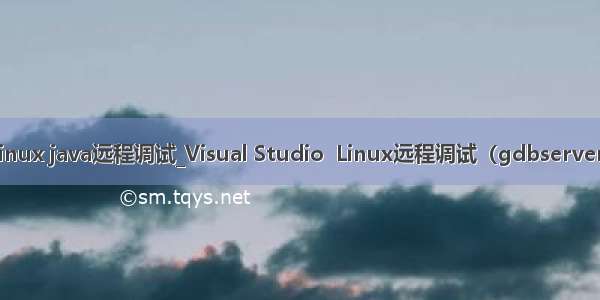 linux java远程调试_Visual Studio  Linux远程调试（gdbserver）