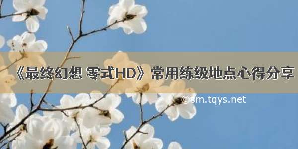 《最终幻想 零式HD》常用练级地点心得分享