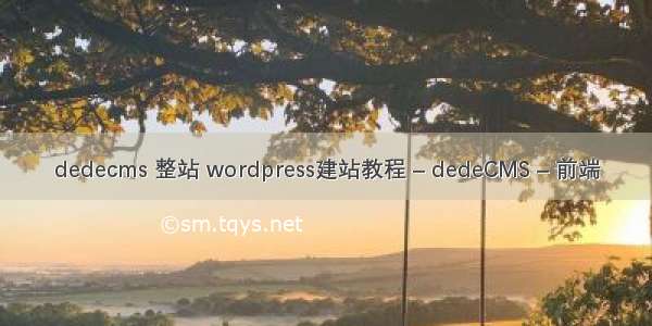 dedecms 整站 wordpress建站教程 – dedeCMS – 前端