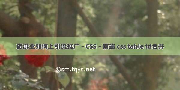 旅游业如何上引流推广 – CSS – 前端 css table td合并