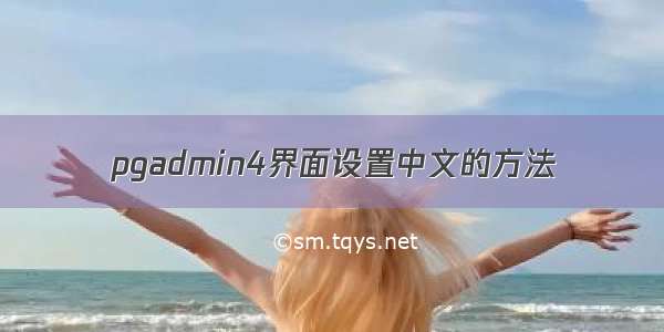 pgadmin4界面设置中文的方法