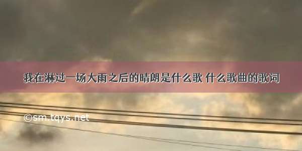 我在淋过一场大雨之后的晴朗是什么歌 什么歌曲的歌词