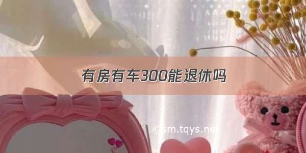 有房有车300能退休吗