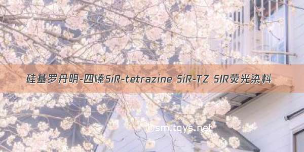 硅基罗丹明-四嗪SiR-tetrazine SiR-TZ SIR荧光染料