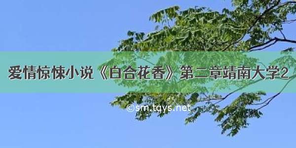 爱情惊悚小说《白合花香》第二章靖南大学2