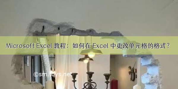 Microsoft Excel 教程：如何在 Excel 中更改单元格的格式？