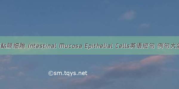 肠粘膜细胞 Intestinal Mucosa Epithelial Cells英语短句 例句大全