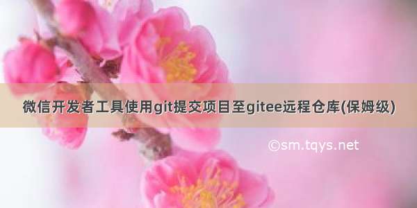 微信开发者工具使用git提交项目至gitee远程仓库(保姆级)