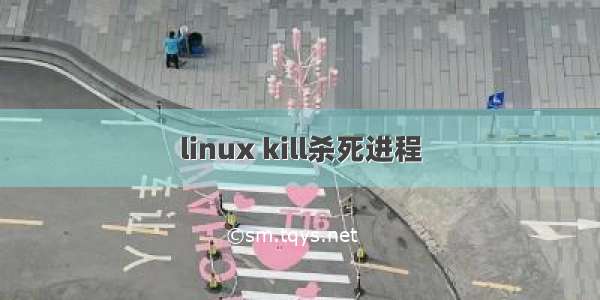 linux kill杀死进程