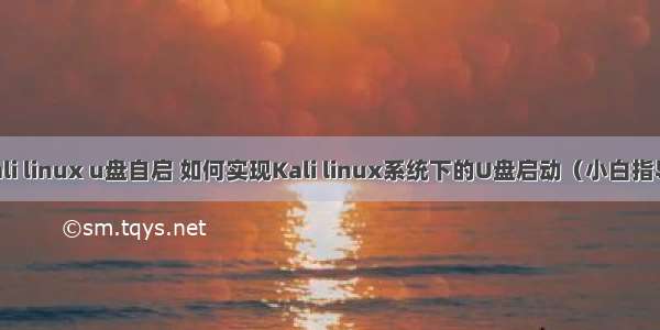 kali linux u盘自启 如何实现Kali linux系统下的U盘启动（小白指导）