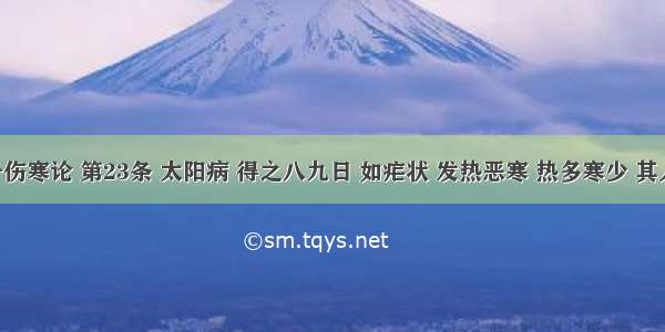 刘渡舟伤寒论 第23条 太阳病 得之八九日 如疟状 发热恶寒 热多寒少 其人不呕 