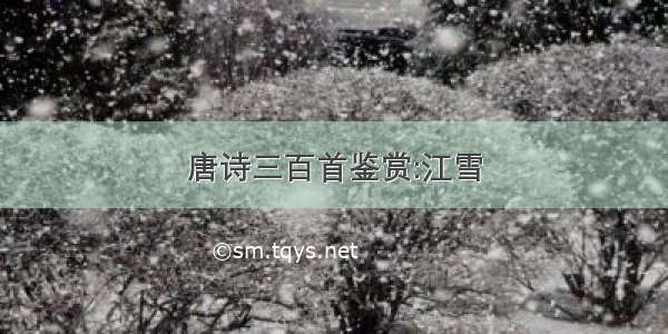 唐诗三百首鉴赏:江雪