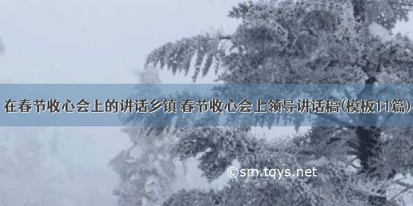 在春节收心会上的讲话乡镇 春节收心会上领导讲话稿(模板11篇)