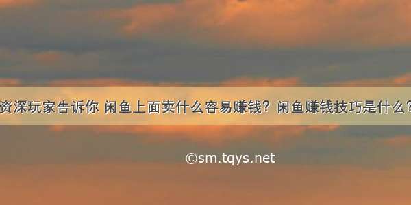 资深玩家告诉你 闲鱼上面卖什么容易赚钱？闲鱼赚钱技巧是什么？