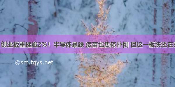 什么情况？创业板重挫逾2%！半导体暴跌 疫苗也集体扑倒 但这一板块还在秀 券商发话