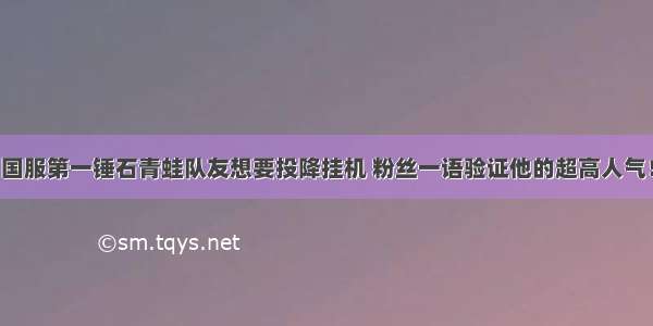 国服第一锤石青蛙队友想要投降挂机 粉丝一语验证他的超高人气！