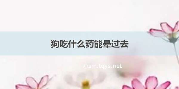 狗吃什么药能晕过去