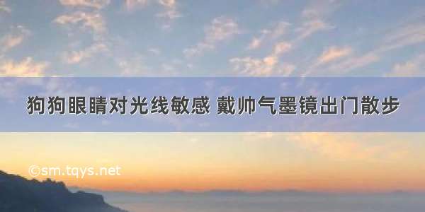 狗狗眼睛对光线敏感 戴帅气墨镜出门散步