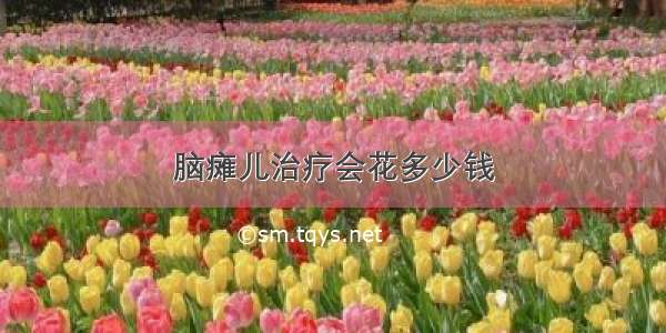 脑瘫儿治疗会花多少钱