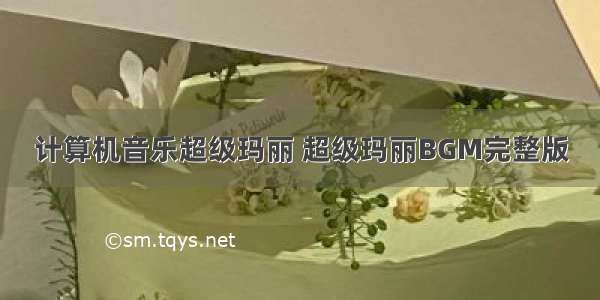 计算机音乐超级玛丽 超级玛丽BGM完整版