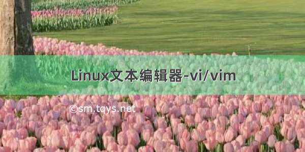 Linux文本编辑器-vi/vim