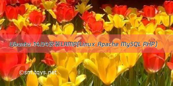 Ubuntu 14.04安装LAMP(Linux Apache MySQL PHP)