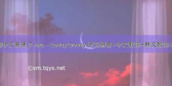 undo歌词中文音译_T-ara - Lovey Dovey 罗马拼音+中文歌词+韩文歌词+中文音译