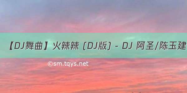 【DJ舞曲】火辣辣 (DJ版) - DJ 阿圣/陈玉建