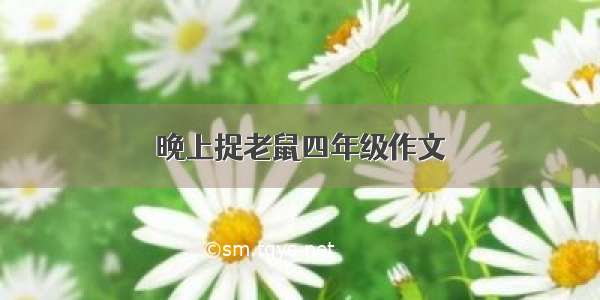 晚上捉老鼠四年级作文