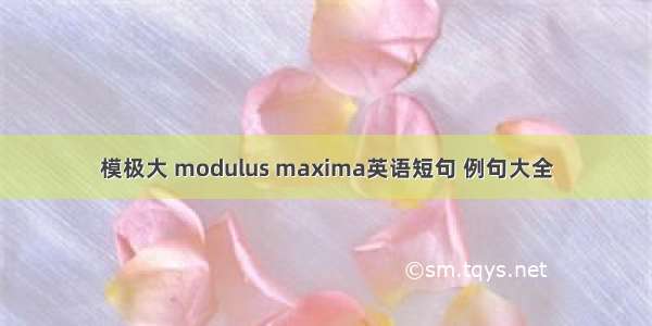 模极大 modulus maxima英语短句 例句大全