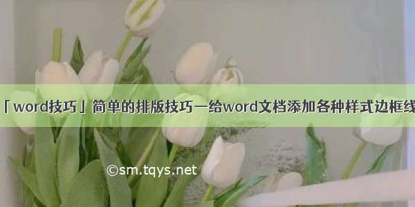 「word技巧」简单的排版技巧—给word文档添加各种样式边框线