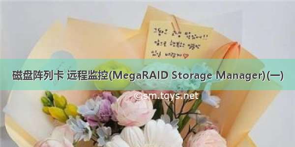 磁盘阵列卡 远程监控(MegaRAID Storage Manager)(一)