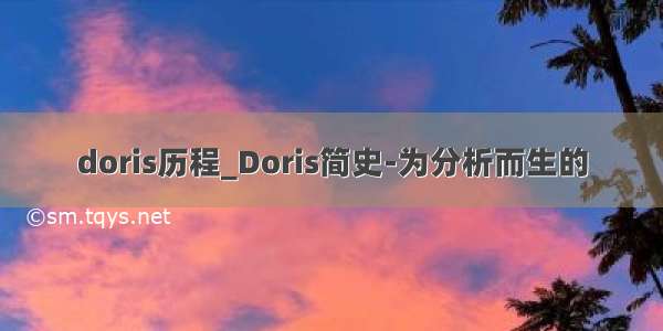 doris历程_Doris简史-为分析而生的