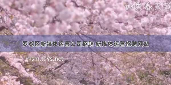 罗湖区新媒体运营公司招聘 新媒体运营招聘网站