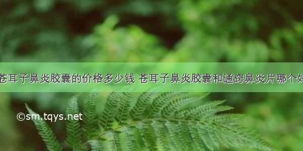 苍耳子鼻炎胶囊的价格多少钱 苍耳子鼻炎胶囊和通窍鼻炎片哪个好