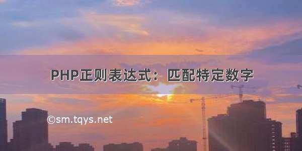 PHP正则表达式：匹配特定数字