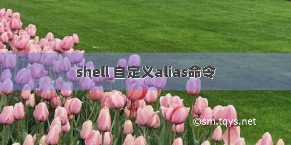 shell 自定义alias命令