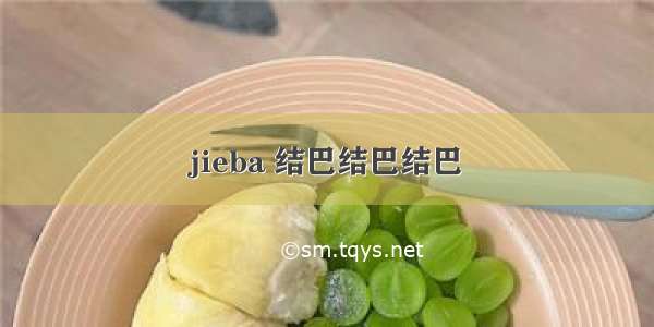 jieba 结巴结巴结巴