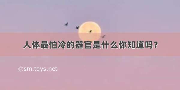 人体最怕冷的器官是什么你知道吗？