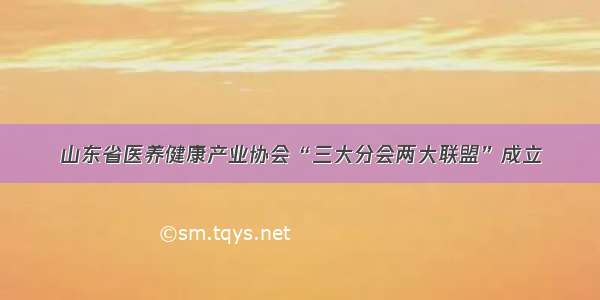 山东省医养健康产业协会“三大分会两大联盟”成立