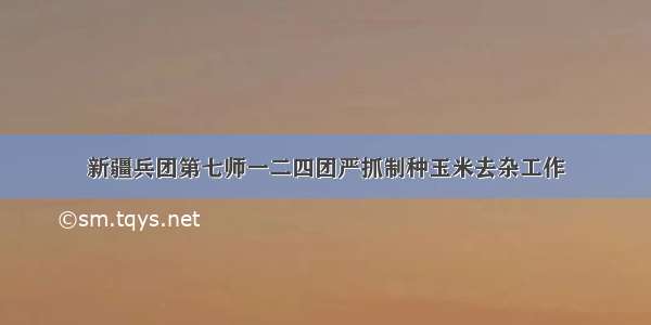 新疆兵团第七师一二四团严抓制种玉米去杂工作